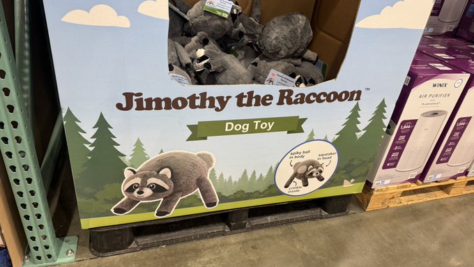 A store display for 'Jimothy the Raccoon Dog Toy' shows plush raccoon toys in a bin above an illustrated sign featuring a cartoon raccoon in a forest scene.