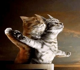 Two cats pose together in a Renaissance-style portrait, with an orange tabby affectionately embracing a silver tabby in a tender, hug-like pose. The image playfully illustrates the "Hansem & Gorgina" caption, fitting the $LMEOW meme token's humorous branding.