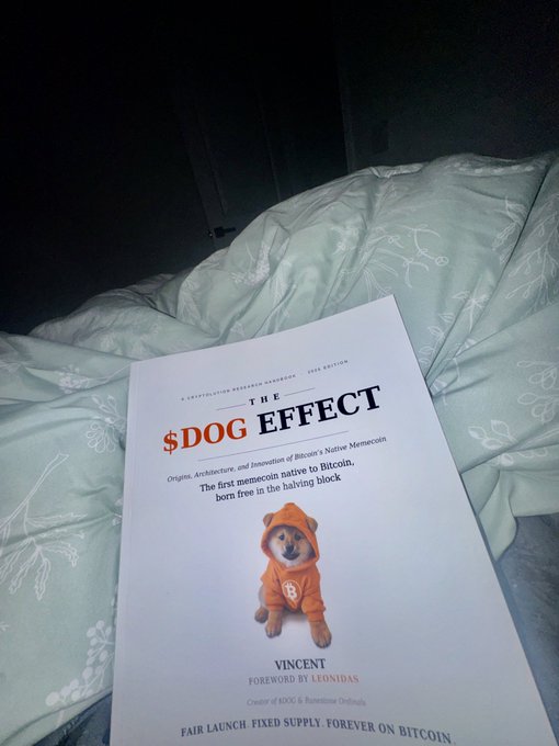 A book titled 'THE $DOG EFFECT' about the first memecoin native to Bitcoin, featuring a Shiba Inu dog in an orange hoodie on its cover, resting on a white bed sheet.