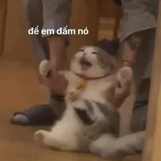 A viral meme video frame showing a white and gray cat standing on its hind legs being held by a person, with its mouth open and teeth showing; the Vietnamese text overlay 'để em đậm nó' translates to 'let me pet it.'