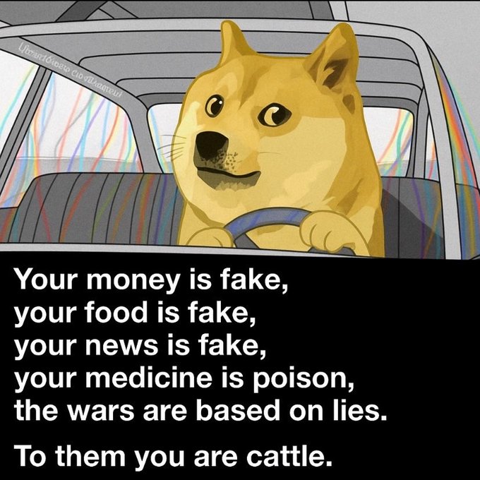 A cartoon Shiba Inu dog ("Doge") sits behind a steering wheel inside a vehicle, with overlaid text reading: "Your money is fake, your food is fake, your news is fake, your medicine is poison, the wars are based on lies. To them you are cattle." The image serves as a visual "reminder" urging viewers to question mainstream institutions and recognize perceived systemic manipulation.