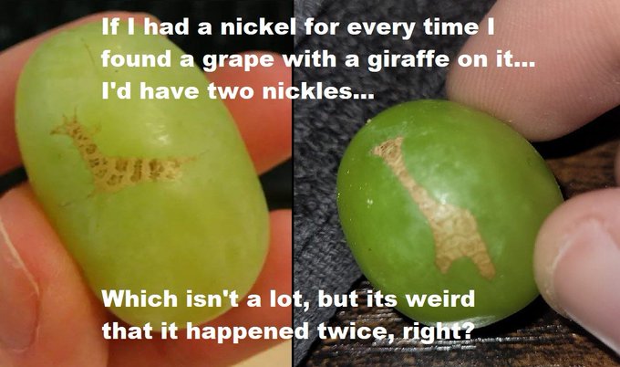 A meme image showing two green grapes each bearing a giraffe-shaped mark, with the caption 'If I had a nickel for every time I found a grape with a giraffe on it... I'd have two nickles... Which isn't a lot, but its weird that it happened twice, right?'