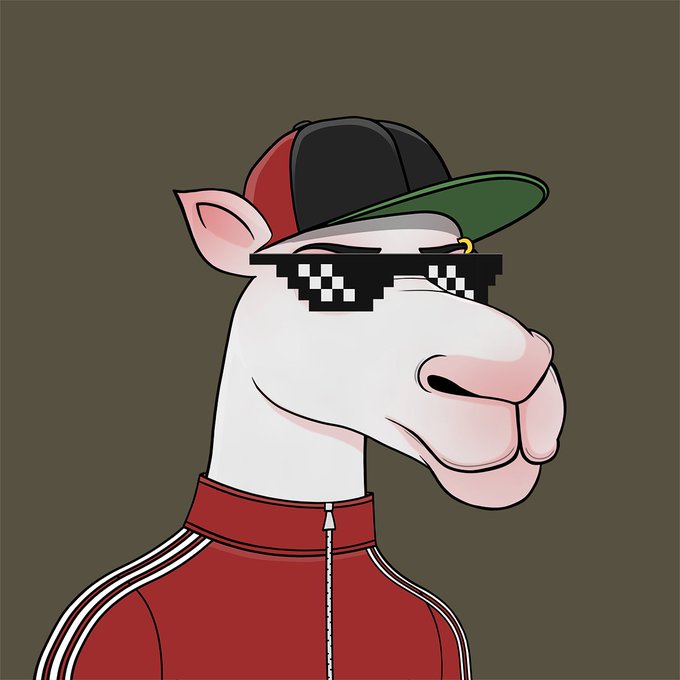 A cartoon illustration of a llama or alpaca wearing pixelated 'deal with it' sunglasses, a red and black baseball cap, and a red Adidas track jacket against an olive background.