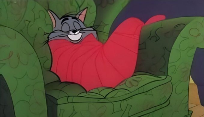 A cartoon gray cat naps contentedly in a green armchair, wrapped snugly in a red blanket with a blissful smile. The image humorously illustrates the post about sleeping peacefully after investing in Bitcoin, conveying the smug satisfaction of a successful crypto holder resting easy.