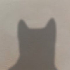 A dark, mysterious silhouette of a cat with pointed ears against a foggy gray background.
