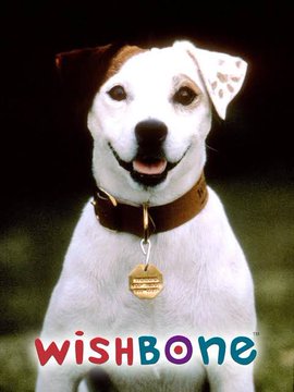 An advertisement for Wishbone dog food featuring a Jack Russell Terrier wearing a white bandana with a paw print pattern and a leather collar with the Wishbone tag.