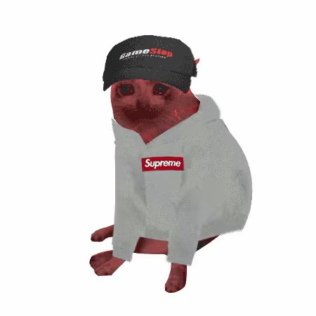 A humorous edited image shows a squirrel wearing a 'GameStop' beanie and a gray Supreme hoodie, posed like a streetwear model.