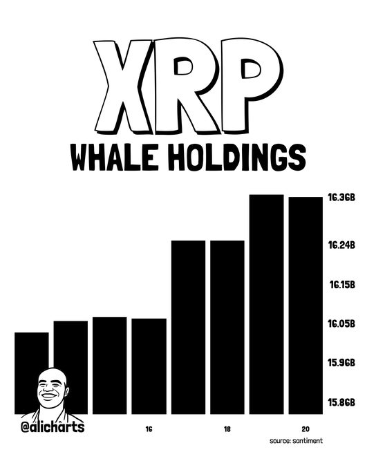 The image is a bar chart titled "XRP WHALE HOLDINGS" showing XRP whale balances climbing from roughly 15.86B to 16.36B over a short time period (around days 16-20), sourced from Santiment and credited to @ali_charts. The chart visually reinforces the post's claim that XRP whales have aggressively accumulated over 300 million tokens in just 96 hours, with the bars showing a clear upward step from ~16B to ~16.36B.