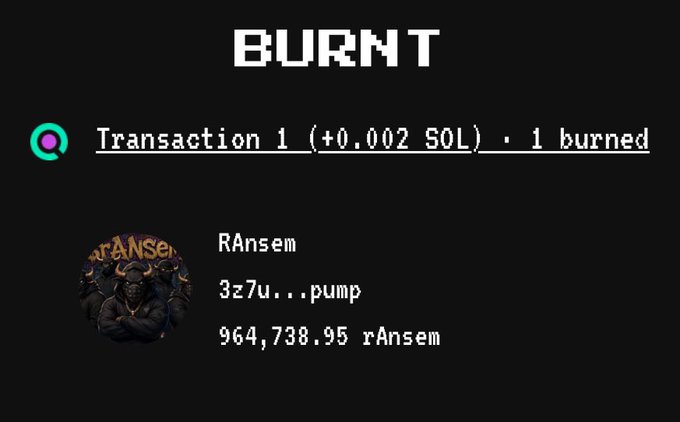 A dark-themed screen showing 'BURNT' at the top with 'Transaction 1 (+0.002 SOL) . 1 burned' and an entry for RAnsem with the address 3z7u..pump and 964,738.95 rAnsem balance.