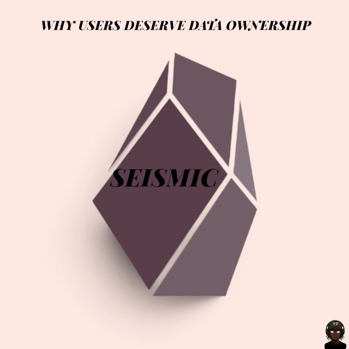A graphic with a geometric crystal logo reads "WHY USERS DESERVE DATA OWNERSHIP" above the word "SEISMIC".