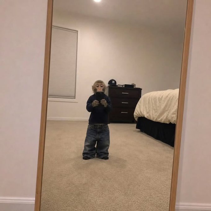A small child stands in a bedroom mirror selfie wearing a monkey mask, a dark long-sleeve shirt, and baggy jeans, holding up a phone to capture the quirky shot. The monkey-masked reflection fits the playful "gm homies" vibe of the caption, serving as a fun, anonymous reminder that the creator behind the screen is still showing up and grinding for his banger.