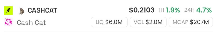 A cryptocurrency listing for CASHCAT at $0.2103, up 1.9% in 1H and 4.7% in 24H, with liquidity $6.0M, volume $2.0M, and market cap $207M.