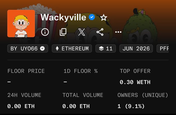 A screenshot of the "Wackyville" NFT collection page by UY066 on Ethereum shows a floor price that hasn't been set yet, with a top offer of 0.30 WETH (~$500), 24H volume of 0.00 ETH, and only 1 unique owner (9.1%), supporting the post's claim about the pending mint and the top offer being at $500.