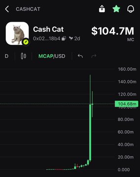 A Robinhood Chain trading interface displays the "$CASHCAT" meme token (Cash Cat) at a market cap of $104.7M, with a dramatic vertical price spike on its MCAP/USD chart. The image directly supports the post's call to action, showcasing live trading of the $CASHCAT token via Robinhood Chain integration on the Pumpfun mobile app.