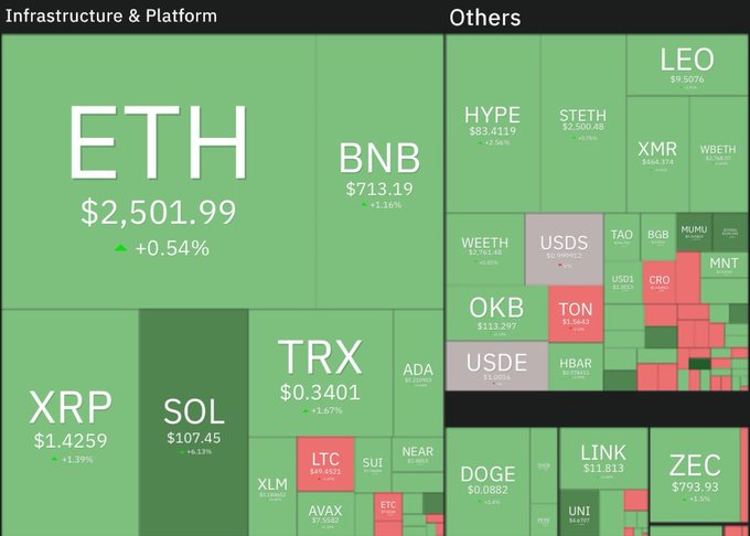 A cryptocurrency market heatmap divided into 'Infrastructure & Platform' and 'Others' categories, showing prices and percentage changes for major coins including ETH ($2,501.99), BNB, XRP, SOL, TRX, DOGE, and LEO.