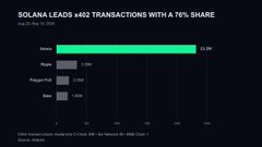 A bar chart titled 'SOLANA LEADS 602 TRANSACTIONS WITH A 76% SHARE' shows Solana dominating the data, followed by Ronin, Polygon PoS, and Base.