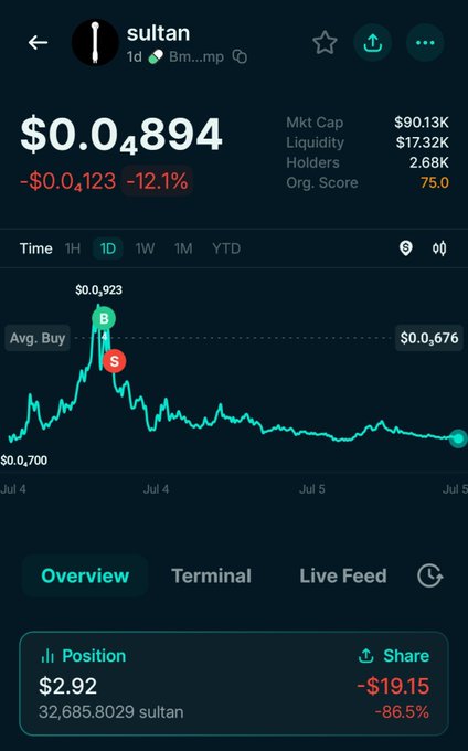 A mobile screenshot of the "sultan" (Bm...mp) meme token shows a devastating -86.5% loss on a position that started at $25 and is now worth just $2.92, with the price plummeting from a peak of $0.923 to $0.04894—a classic "rug pull" that visualizes the painful lesson against FOMO buying into hyped meme coins.