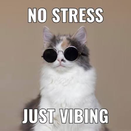 A meme of a fluffy cat wearing round sunglasses with the text "NO STRESS" at the top and "JUST VIBING" at the bottom.