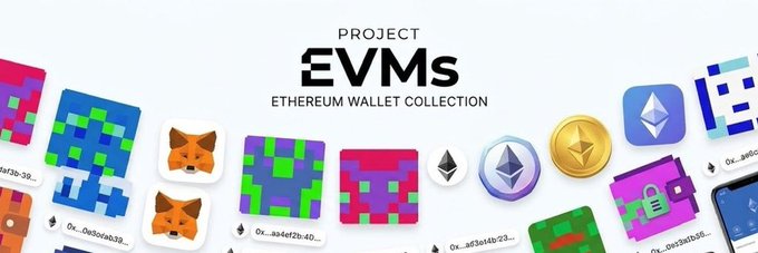 Promotional banner for 'Project EVMs Ethereum Wallet Collection' showing pixel art NFTs and Ethereum coin icons alongside crypto wallet addresses.