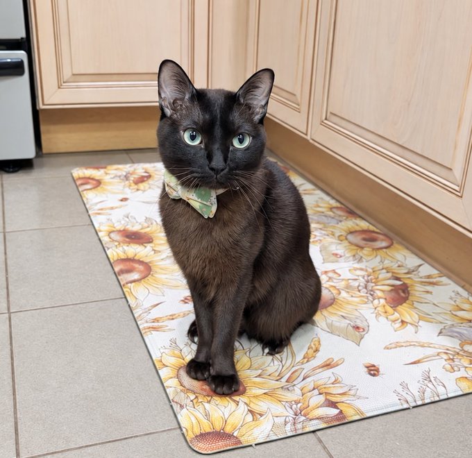 A sleek black cat wearing a small green bow tie sits on a decorative runner rug featuring sunflower designs in a kitchen setting with light wood cabinets.