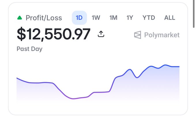 A financial dashboard widget displays a profit of '$12,550.97' for the 'Past Day' on Polymarket, featuring a line graph showing a downward trend followed by an upward recovery, with the '1D' time interval selected.