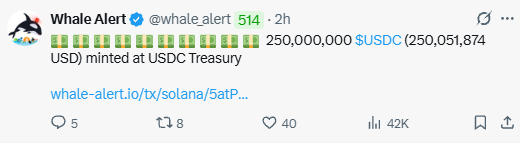A Whale Alert tweet displays that 250,000,000 USDC (250,051,874 USD) was minted at the USDC Treasury, supporting the accompanying post's claim about $1B+ in USDC minting over the past two weeks and questioning when the newly minted stablecoin supply will be used to boost crypto markets.