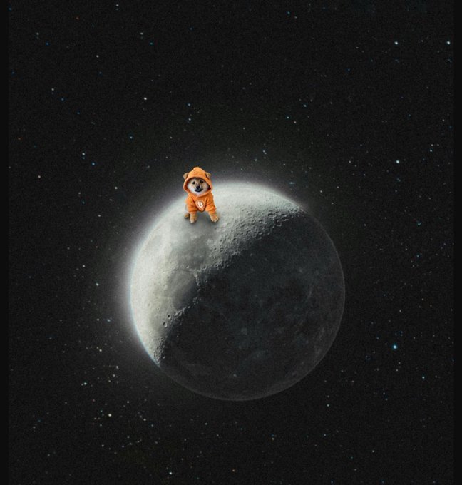 A small dog in an orange astronaut suit sits on the edge of the moon against a starry space background.