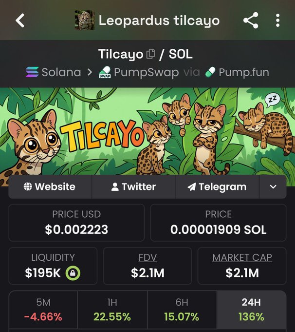 A screenshot of a cryptocurrency token page for 'Tilcayo' on the Solana blockchain via PumpSwap/Pump.fun, showing illustrations of leopard cats, with a price of $0.002223 USD, market cap of $2.1M, and 24H change of 136%.