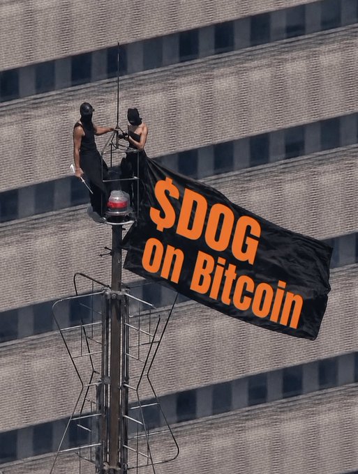 Photograph of two protesters hanging a large black banner reading '$DOG on Bitcoin' in orange text from a tall pole or structure against a gray concrete building.