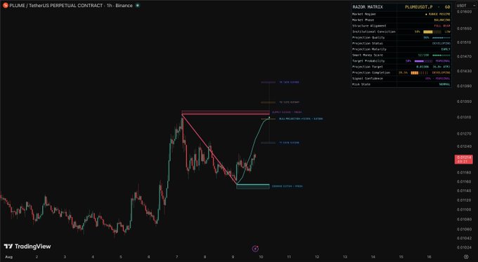 A TradingView chart of the PLUME/USDT perpetual contract on Binance shows a descending channel pattern with a projected bullish breakout targeting 0.020390, based on a 1-hour timeframe with technical analysis displaying wave count projections and key support at 0.015820.