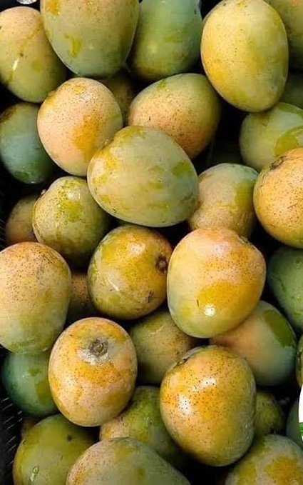 The image shows a basket filled with numerous ripe mangoes of various colors including yellow and green. The mangoes appear fresh, indicating they have been recently picked or are still growing. The close-up view of the fruit highlights their vibrant colors and textures, making them an appealing subject for the accompanying post about digital finance and decentralized infrastructure.
