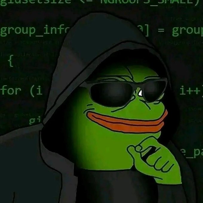 A meme image features the cartoon character Pepe the Frog wearing a black hoodie and sunglasses, posing thoughtfully in front of a background of green computer code.