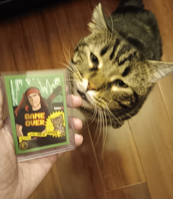 A tabby cat sniffs a custom "Game Over" trading card featuring a likeness of Roaring Kitty, the meme stock icon, while the handwritten note "JIM 'V'" appears at the top—tying into the post thanking @m74ft1 for the Roaring Kitty collectible.