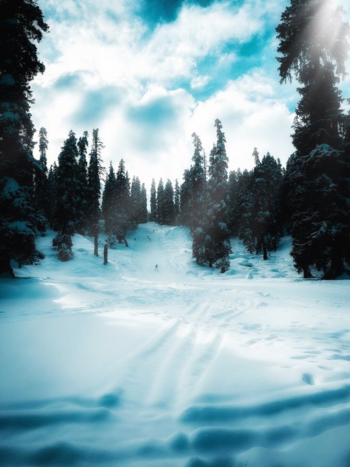 A serene winter landscape showing a snow-covered path through tall pine trees under a bright, cloudy sky with sun rays filtering through.