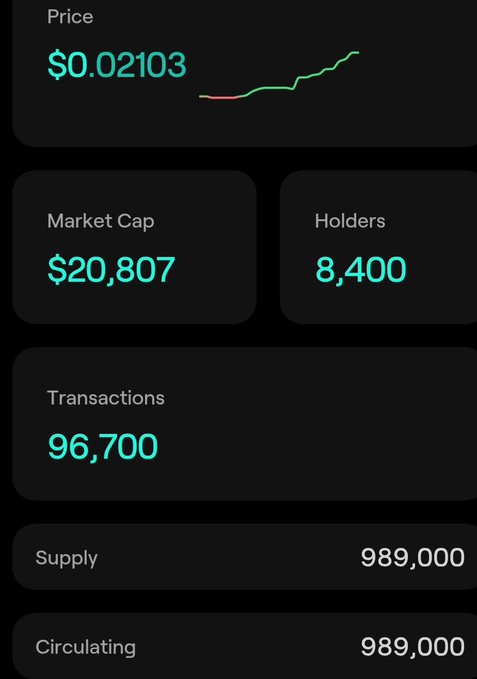 A cryptocurrency statistics dashboard displaying a price of $0.02103, market cap of $20,807, 8,400 holders, 96,700 transactions, and a supply/circulating of 989,000.
