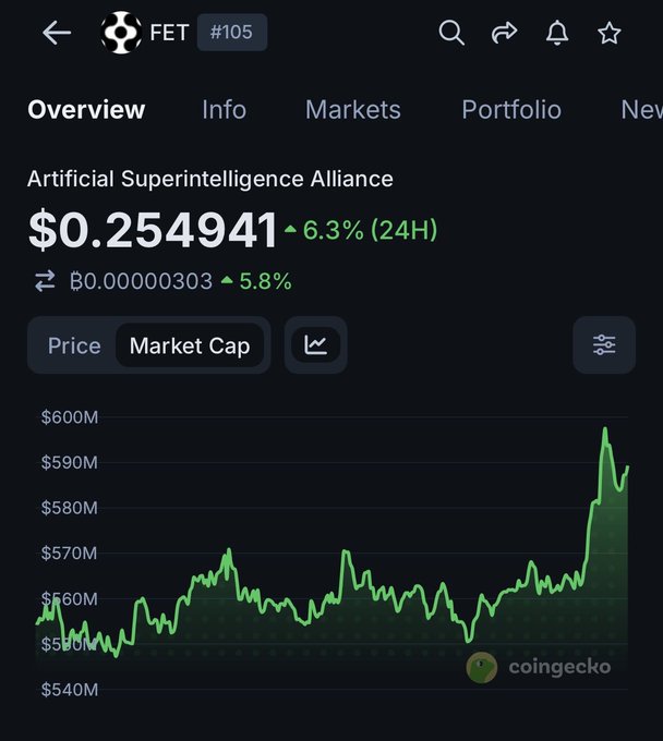 A CoinGecko screenshot showing the "FET" ("Artificial Superintelligence Alliance") token price at "$0.254941", up "6.3% (24H)", with a rising green market cap chart on CoinGecko.
