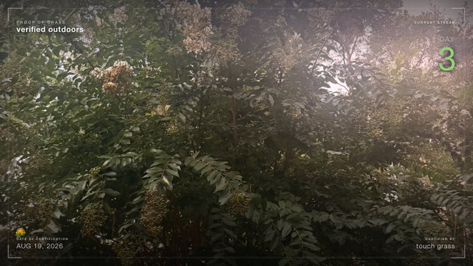 A nature documentary-style frame showing dense green foliage with overlays reading 'GROUP ORIGINALS', 'verified outdoors', 'TOUCH GRASS', 'DAY 3, EYE INTEGRATION', 'AUG 19, 2026', and a streak counter showing '3'.