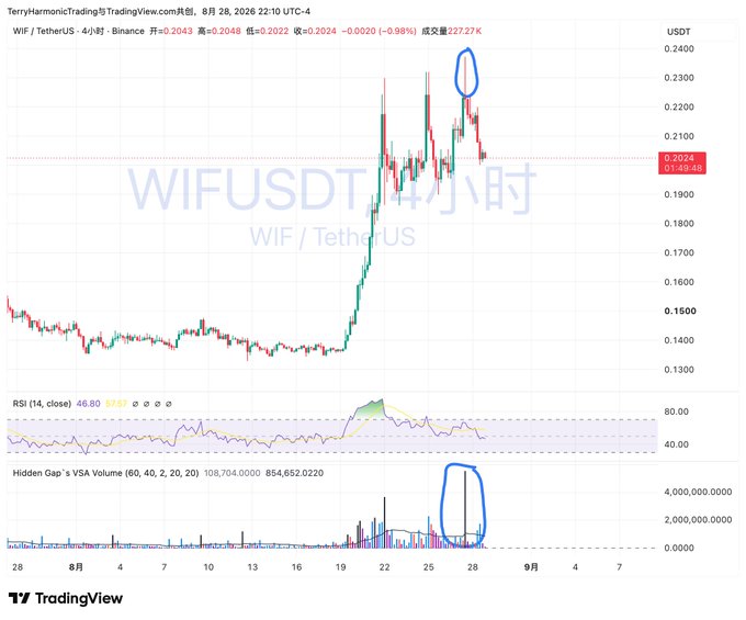 A TradingView chart for WIF/USDT on Binance, showing a 4-hour timeframe with a circled peak around August 28, 2026, alongside RSI and VSA volume indicators.