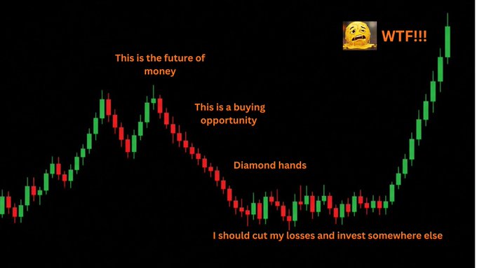 A candlestick chart showing various investor mindsets during a downtrend—including "Diamond hands," "I should cut my losses," and "This is a buying opportunity"—followed by a green recovery surge with a "WTF!!!" reaction, illustrating that conviction tested in a bear market is what fuels the eventual rebound.
