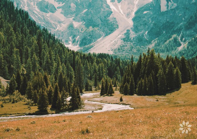 The image shows a beautiful mountain landscape with trees, including pine trees, covering the foreground of the scene. The mountains are covered in snow, creating a stunning backdrop for the lush greenery below. In the background, there's a river flowing through the valley, adding to the picturesque view. The image also contains text that reads "Glow'S solar network has the carbon impact equivalent of 583,738 adult trees. Imagine a forest bigger than Central Park, except it was built by people funding solar rather than planting seeds." This message highlights the importance of sustainable energy sources and their positive impact on the environment.