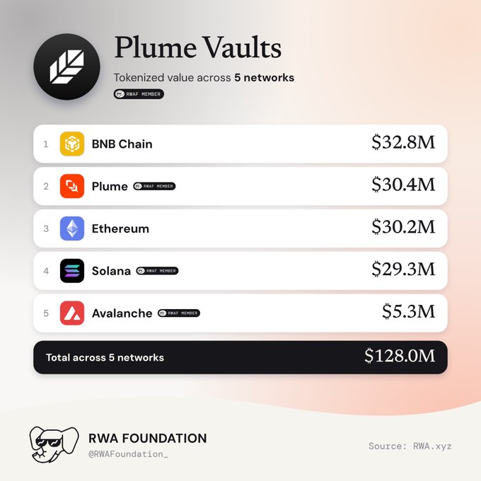 An infographic titled 'Plume Vaults' showing 'Tokenized value across 5 networks' with BNB Chain leading at $32.8M and a total of $128.0M.