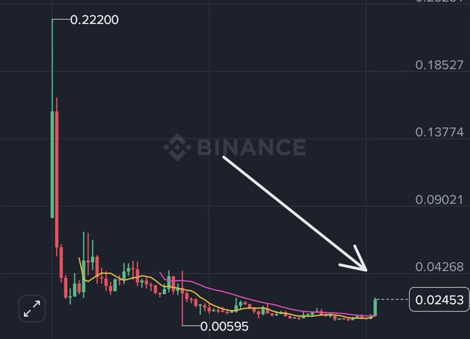 A Binance candlestick chart showing a dramatic price decline from 0.22200 down to a low of 0.00595, with a white arrow pointing to a recent price level of 0.02453.