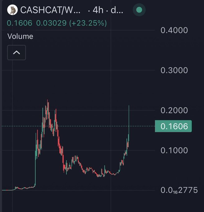 A cryptocurrency price chart for CASHCAT/W showing a current price of 0.1606, up 23.25%, with a candlestick pattern displaying price action between approximately 0.0 and 0.4.