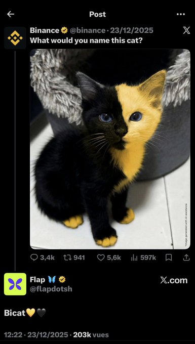 A screenshot of a post on X from 'Binance' (@binance) dated 23/12/2025 asking 'What would you name this cat?' showing a split-colored black and yellow kitten, with a reply from Flap (@flapdotsth) suggesting 'Bicat'.