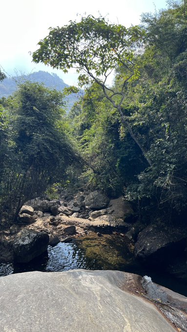 A sun-dappled jungle stream cascades over smooth rocks beneath lush green canopy, creating a serene natural escape that contrasts sharply with the cautionary tale of a crypto trader lured off Binance P2P onto Zalo by a scammer promising lower fees.