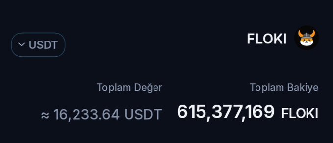 A dark-themed digital interface showing a cryptocurrency portfolio with 'USDT' selected, displaying a total value of approximately 16,233.64 USDT and holdings of 615,377,169 FLOKI.