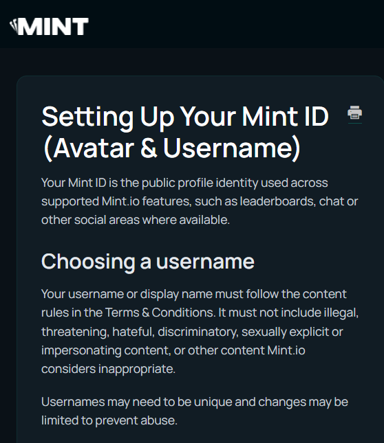 Help page screenshot titled 'Setting Up Your Mint ID (Avatar & Username)' with the MINT logo, explaining username rules for Mint.io features.