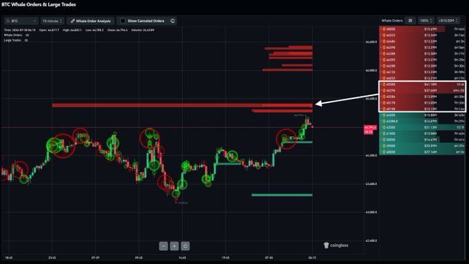 A BTC chart on the "BTC Whale Orders & Large Trades" indicator shows a cluster of red sell limit orders exceeding $100 million stacked around the $65,264–$65,780 range, highlighting heavy resistance and significant whale selling interest above current prices near $64,178.