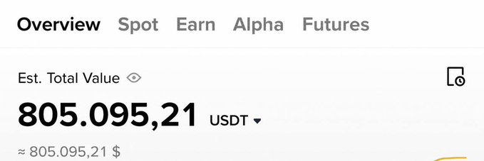 A crypto wallet interface shows an "Est. Total Value" of "805.095,21 USDT" with navigation tabs for Overview, Spot, Earn, Alpha, and Futures.