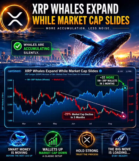 Promotional graphic titled 'XRP WHALES EXPAND WHILE MARKET CAP SLIDES' showing a Sentiment chart of XRP Ledger wallet growth (+32 more 1M+ XRP wallets in 3 months) alongside a 29% market cap decline, with whale imagery and slogans like 'SMART MONEY IS MOVING' and 'THE BIG MOVE IS LOADING.'